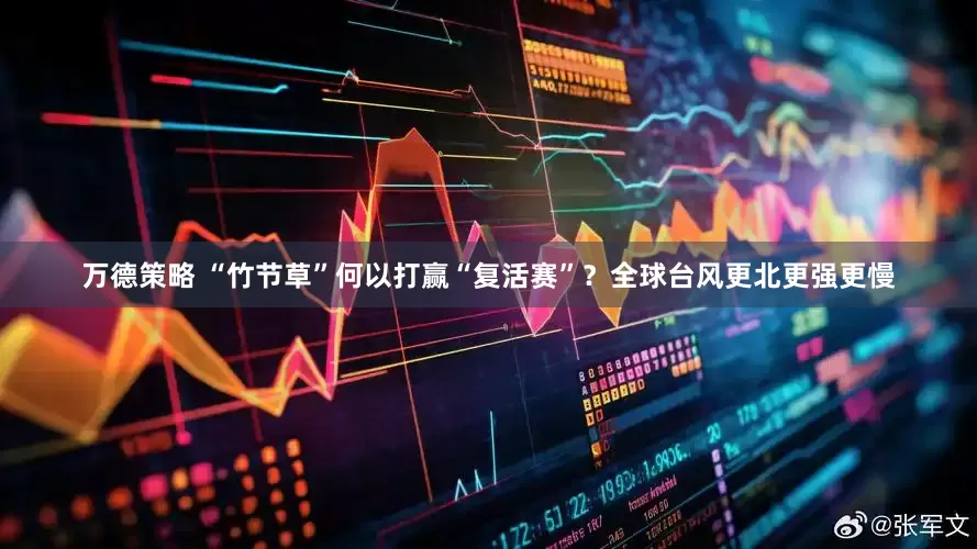 万德策略 “竹节草”何以打赢“复活赛”？全球台风更北更强更慢