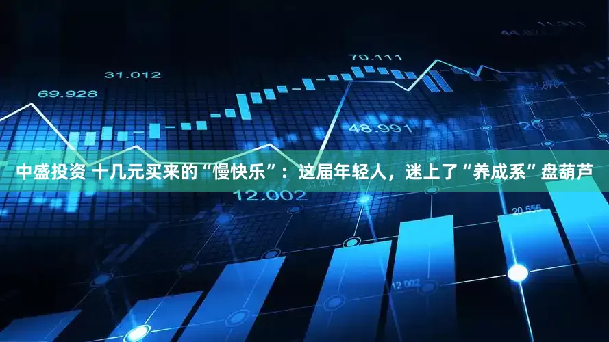 中盛投资 十几元买来的“慢快乐”：这届年轻人，迷上了“养成系”盘葫芦