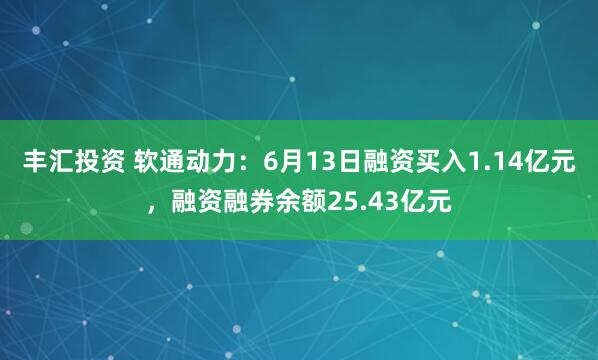 丰汇投资 软通动力：6月13日融资买入1.14亿元，融资融券余额25.43亿元