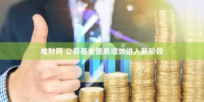 堆财网 公募基金提质增效进入新阶段
