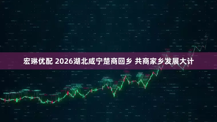 宏琳优配 2026湖北咸宁楚商回乡 共商家乡发展大计